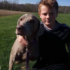 Meet your Posher, Cole